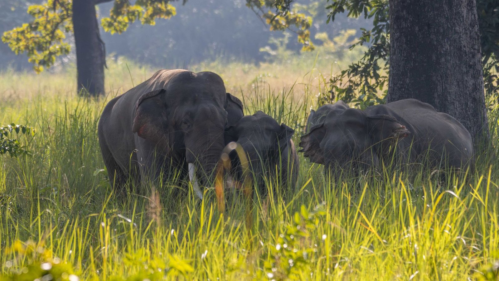 popular national parks in Nepal